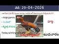 29 April 2026 today winning colours/Today winning colours /vision of kukkuta sastram in colours