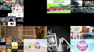 The Almost Biggest Annoying Goose Party Ever