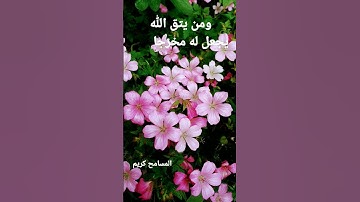 القرآن الكريم/الحاج عامر الكاظمي// اللهم صل وسلم على نبينا محمد (السلام عليكم )