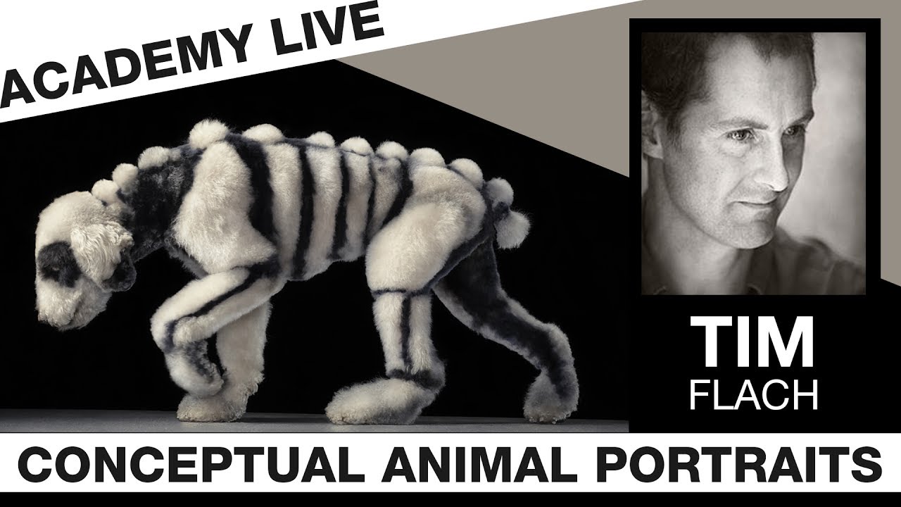 ACADEMY LIVE | Tim Flach - Conceptual Animal Portraits - YouTube