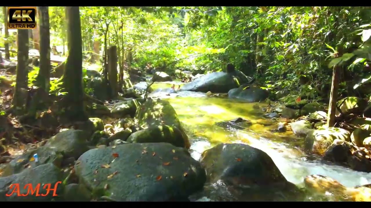 Xplore Taman Eko Rimba Kledang Saiong Ipoh - 4K