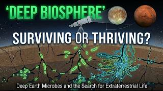 Surviving or Thriving? Deep-Earth Microbes and the Search for Extraterrestrial Life | Dark Energy