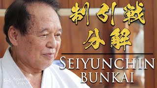 Karate Kata | Seiyunchin Bunkai | Follow along with a Grand Master | Ageshio Japan