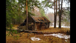 Однодворка!  Поиск селища в лесу и на болоте! Как найти место для копа без карт.