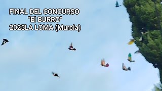 Final Concurso del "BURRO" 2025 La Loma (Murcia)