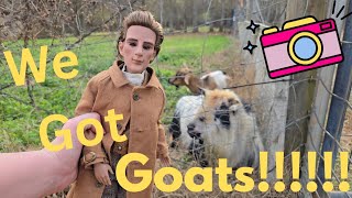 Doll Photography With The New Goats! Dolls On The Farm! 💚🐐