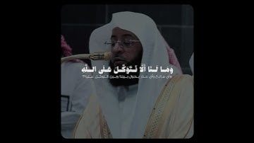 تلاوة بديعة بالنبرة الأيوبية! - للشيخ بدر التركي من فجر اليوم 🤍🎧..
