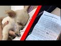 子犬に一通の手紙を託し、空港トイレに置き去りにした女性
