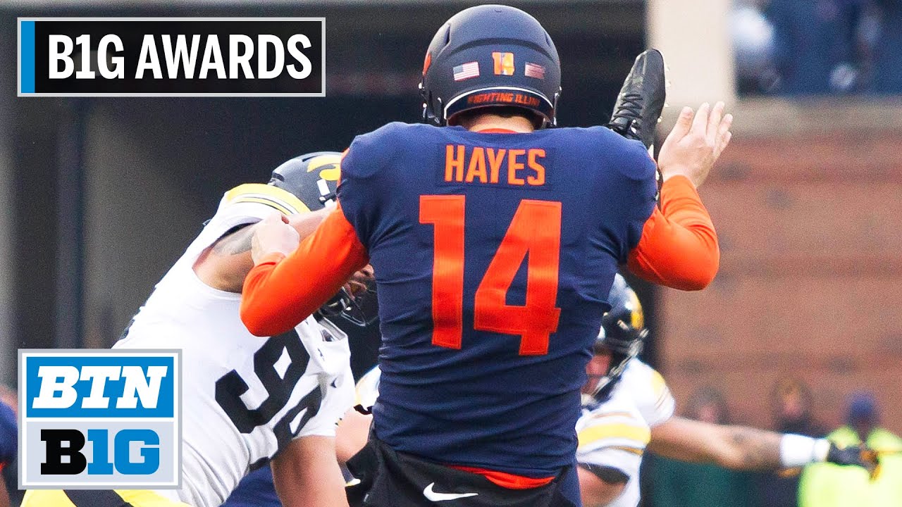 B1G Punter of the Year: Illinois P Blake Hayes | B1G Football