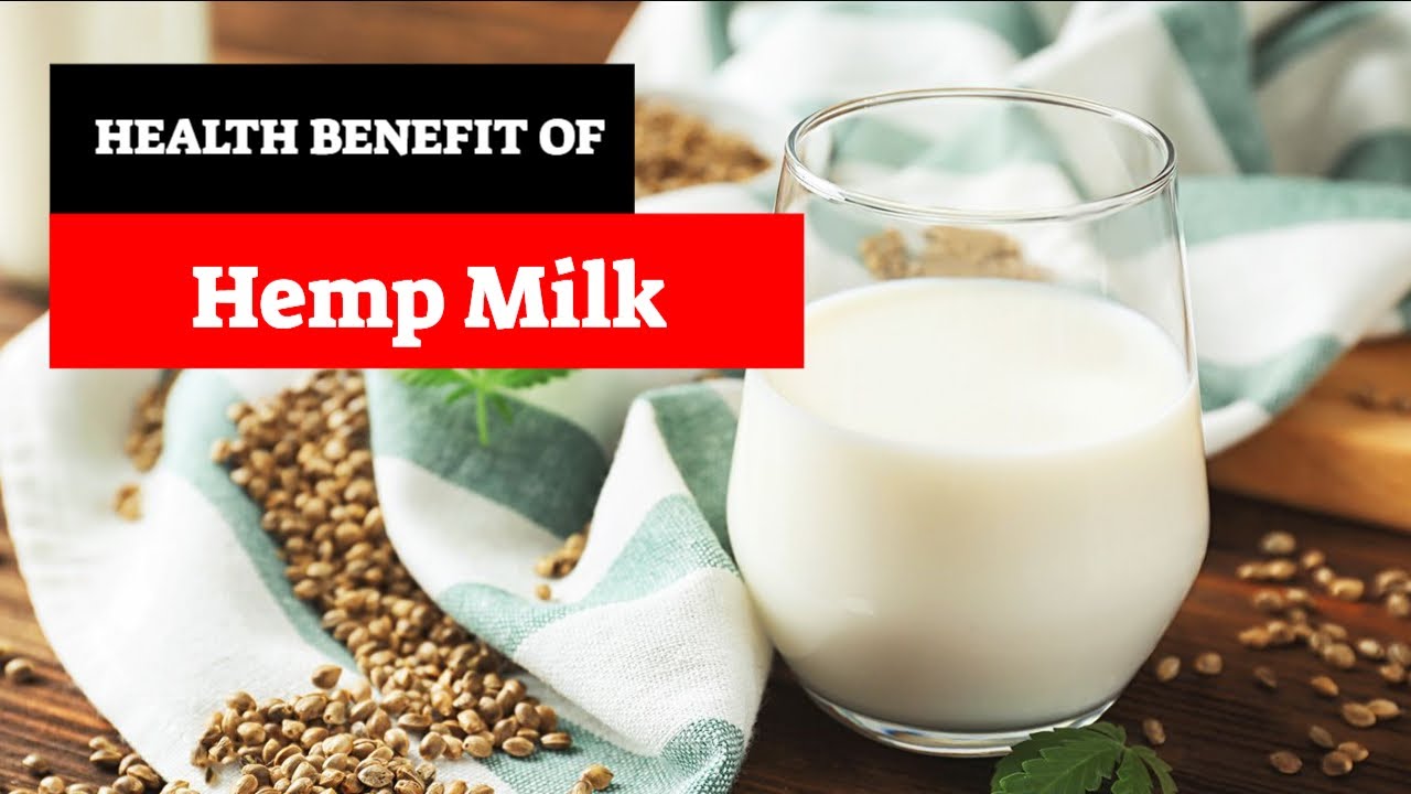 Amazing Health Benefits of Hemp Milk How to Make Hemp Seed Milk YouTube