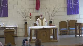 Tuesday of the 5th Week of Lent.  St. Vincent de Paul Church. Houston, TX. 12:10 pm Mass  3/2/26.