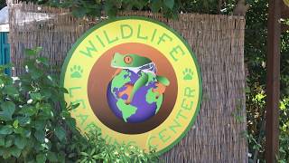 Foothills Finds: Wildlife Learning Center