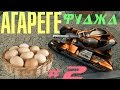 АгарегеФуджа | #2 | УДАР ЯЙЦАМИ