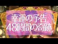 6万人感謝🌟48時間の奇跡🥰この動画を見つけたあなたに起こるすごい幸運🦋✨✨ めっちゃ当たる🤭💭💭 タロット占い💫オラクルカードリーディング🔮3択🔮