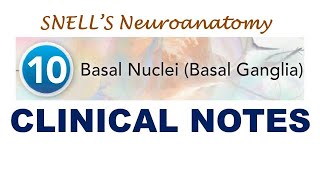 (Chp#10 CLINICAL NOTES) | Basal Ganglia | Huntington Disease | Snell's NeuroAnatomy