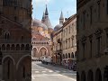🌿Basilica of Saint Anthony of Padua