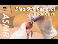 ASMR リラックス睡眠 足の角質除去 パワーピール ペディプランニング ASMR リラックス睡眠 足の角質除去 パワーピール ペディプランニング