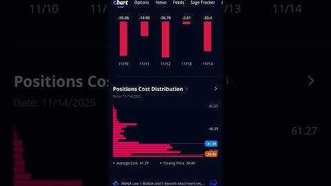 11/17/25 Trading Journal #1 $BMNR $ETHZ $ALTS $WKEY