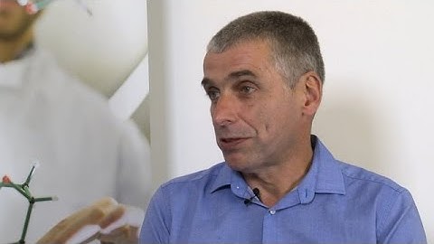 Peter Simmonds: Evolution and pathogenicity of viruses