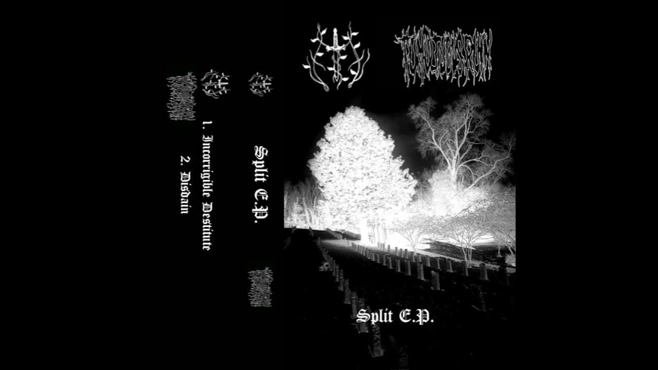 Eyn  / Tumultuous Ruin (Full Split EP)
