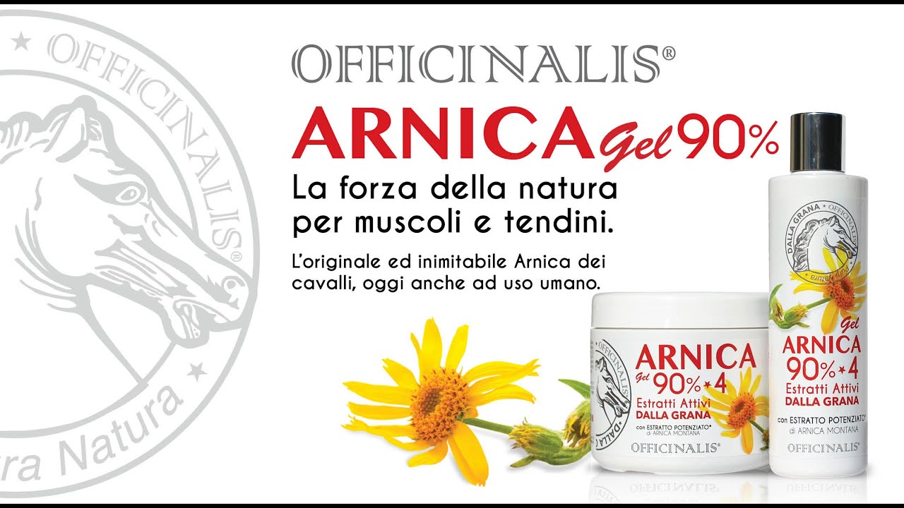 OFFICINALIS FOR HORSES - Arnica 90% Per Cavalli Uso Umano Prodotta in  Italia - 500 Ml, Gel 90% di Arnica Montana per Massaggio a Muscoli e