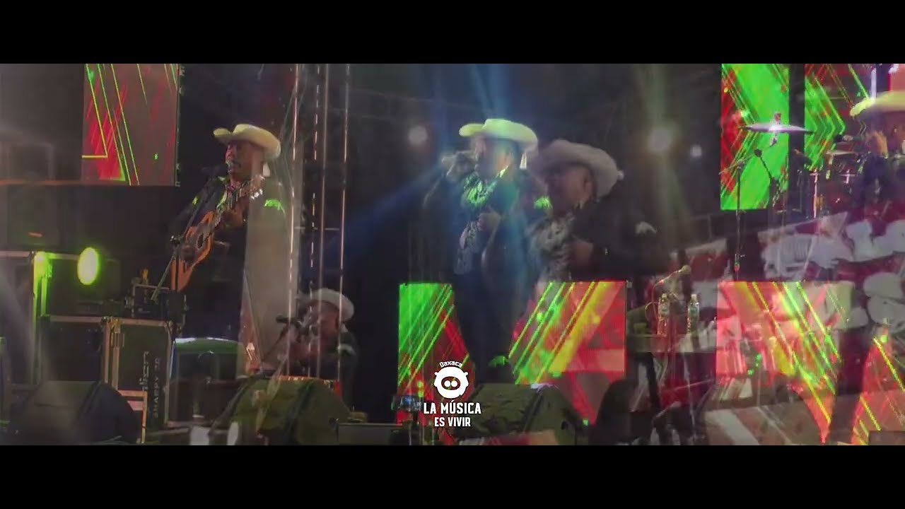 En las cantinas - Los Armadillos de la Sierra - YouTube