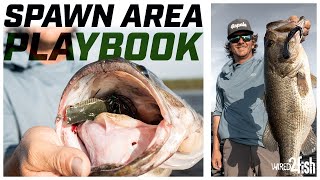 Finding Florida Bass - Local Pro's Tricks for Spawning Areas