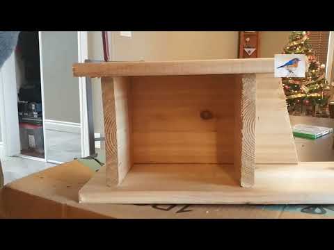 eastern-bluebird-birdhouse-video