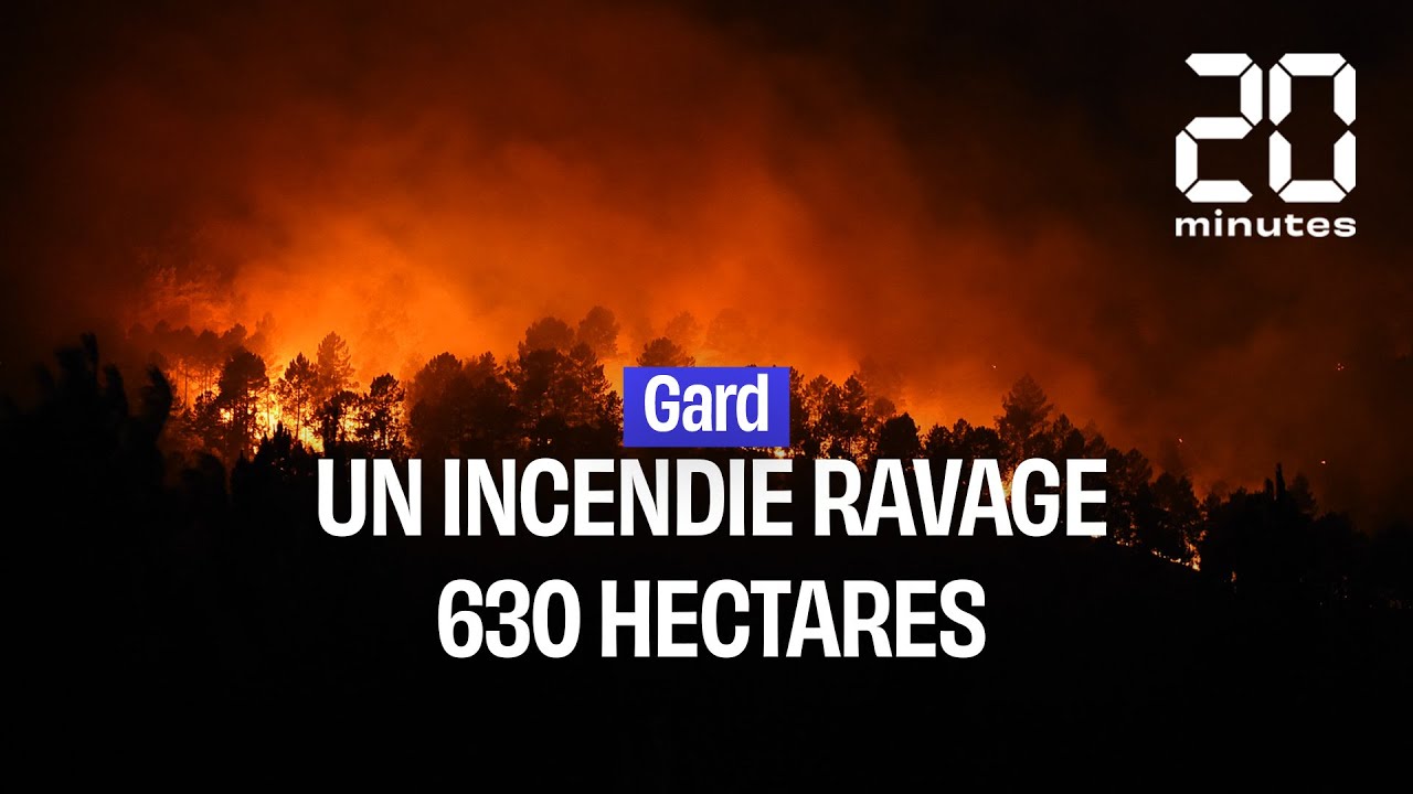 Feu de l'Aigoual : partie gagnée pour les pompiers gardois mais 116  hectares de végétation ont brûlé 