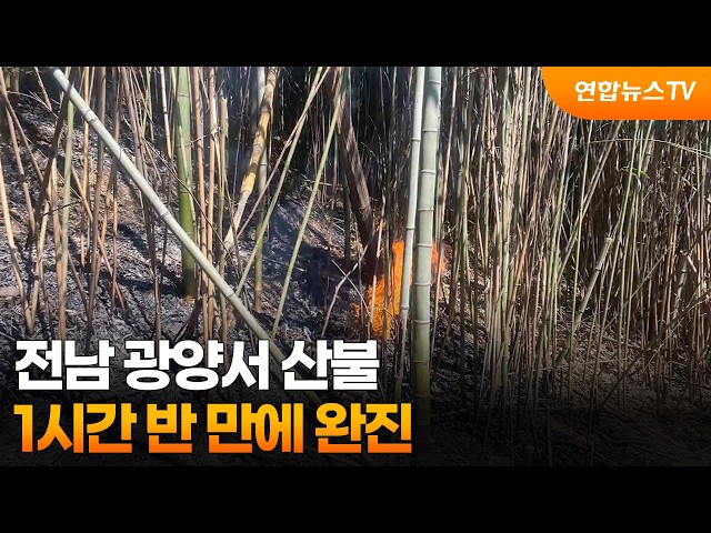 전남 광양서 산불…1시간 반 만에 완진 / 연합뉴스TV (YonhapnewsTV)