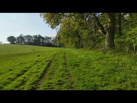 Walking Through Fields Near to Normandy - P6