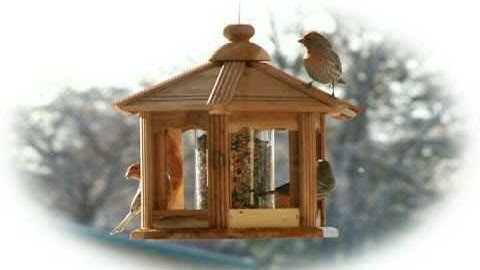 Closed Captioning  test