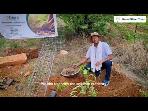 Planting Hope on Rocky Hills