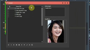 Testing Delphi 10.3 Rio + Firebird 3.0 + FastReport 6