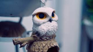 Nikon ZR Garden Quick Test