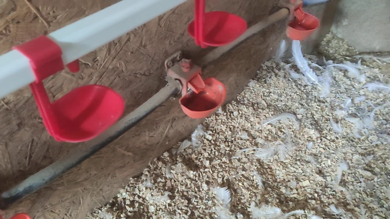 Suluk sistemini değiştiriyorum.Nipel suluk aldım.