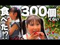 【大食い王決定戦】1年ぶりのいちご狩りでとんでもない記録を更新する大食い３姉弟