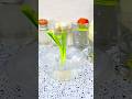 Genius Way to Regrow Scallions in Water Creative Recycling Hack.
