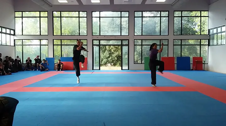 2017 YMAA International Summer Camp | White Crane ...