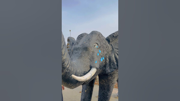 Elephants Ki Help Kardi 🥲❤️ #shorts