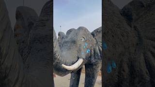 Thumbnail for Elephants Ki Help Kardi 🥲❤️ #shorts