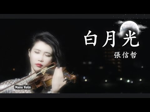 白月光 -  張信哲 小提琴(Violin Cover by Momo) 月の庭 何月歌 Misty Moon Violin Cover