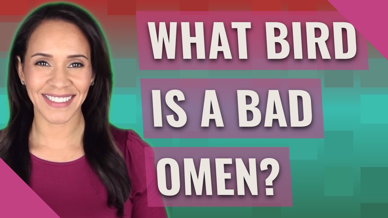 What bird is a bad omen?