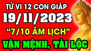 Tử vi hàng ngày 12 con giáp ngày 19/11/2023: Xem Vận Mệnh, Tài Lộc, Sự Nghiệp, Tình Duyên, Sức Khỏe