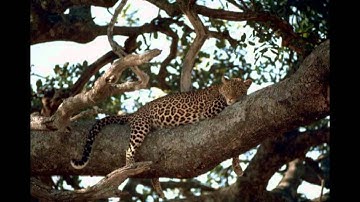 BBCode Tutorial Demo