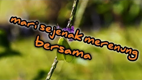 merenung