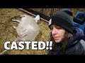 This didn't end well. | SPRING LAMBING 2021 | Vlog 426