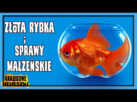 Analogowe Heheszki #389 - Złota Rybka i sprawy małżeńskie