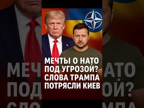 Трамп разозлил Киев — мечта о НАТО рухнула?