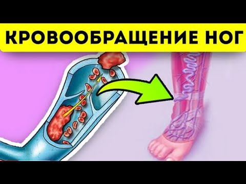 Вот как нормализовать кровообращение в ногах